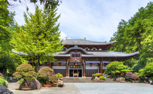 根宮佛國文化旅游景區